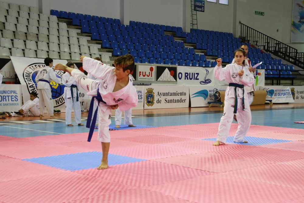 Taekwondo Dic 2016 (210).jpg